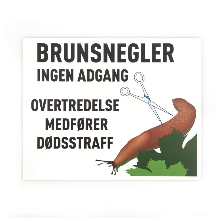 Brunsnegler 20x25 cm