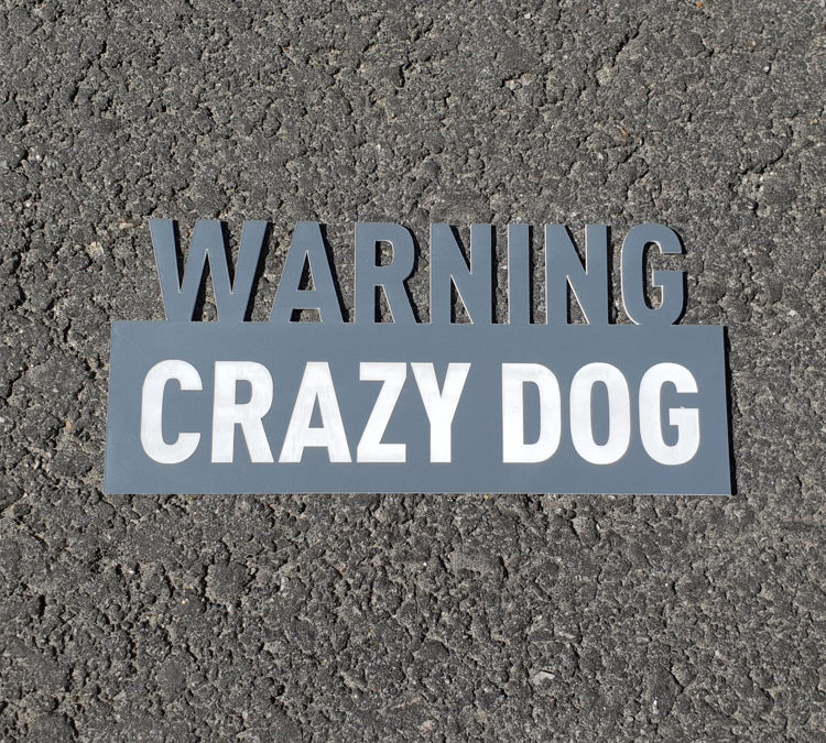 Bilde av Plastmerke Warning Crazy dog 9x20 cm